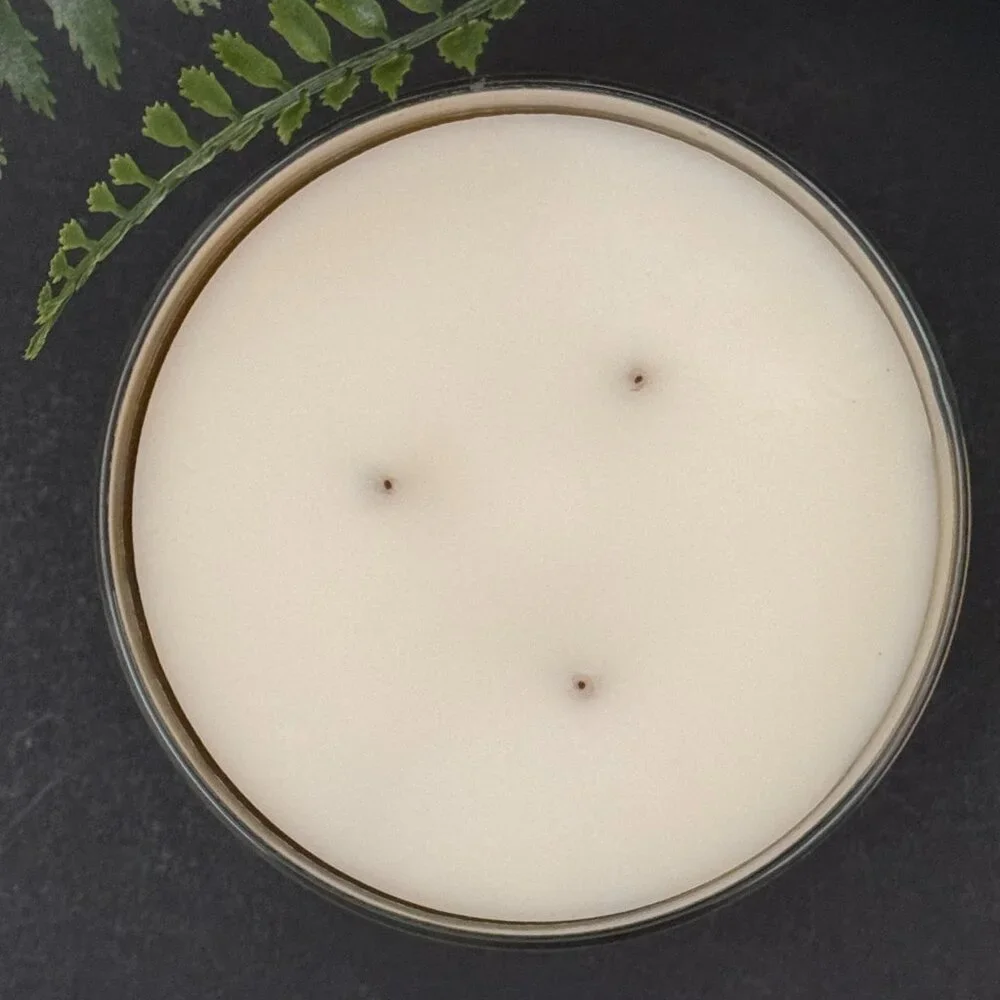 BBW Lavender & Pine Bath & Body Works 3 Wick Candle
